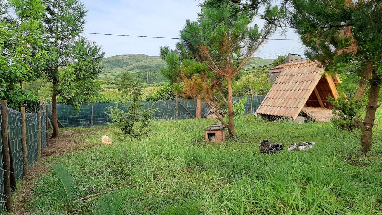 Quinta Das Primas Lomba  Esterno foto